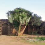 Dormire in un dammuso a Pantelleria: i più belli dove pernottare