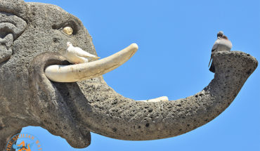 U Liotru: storia e mito dell'elefantino simbolo di Catania
